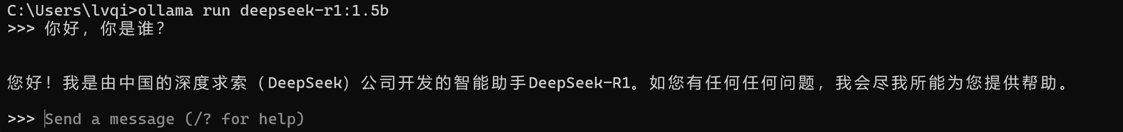 和 DeepSeek 第一次对话